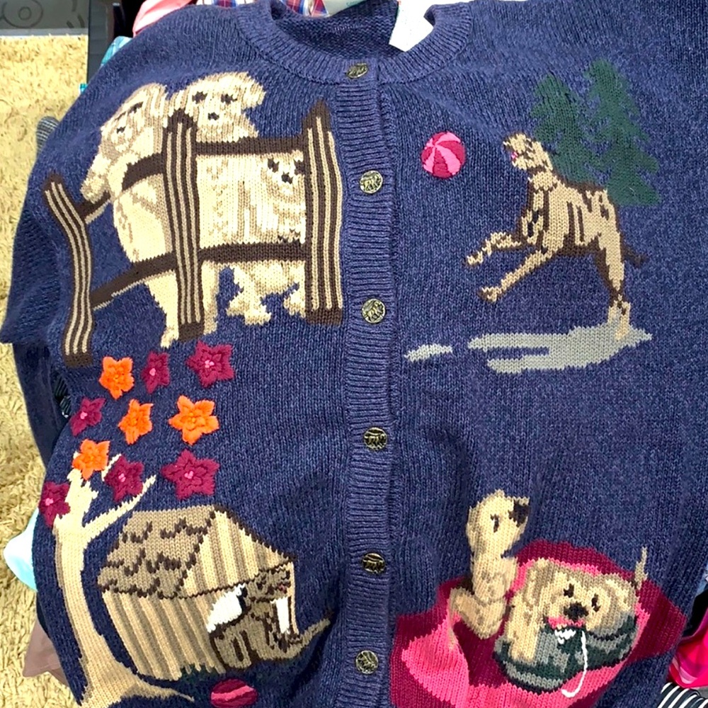 EUC Northern Reflections large blue dog puppy sweater